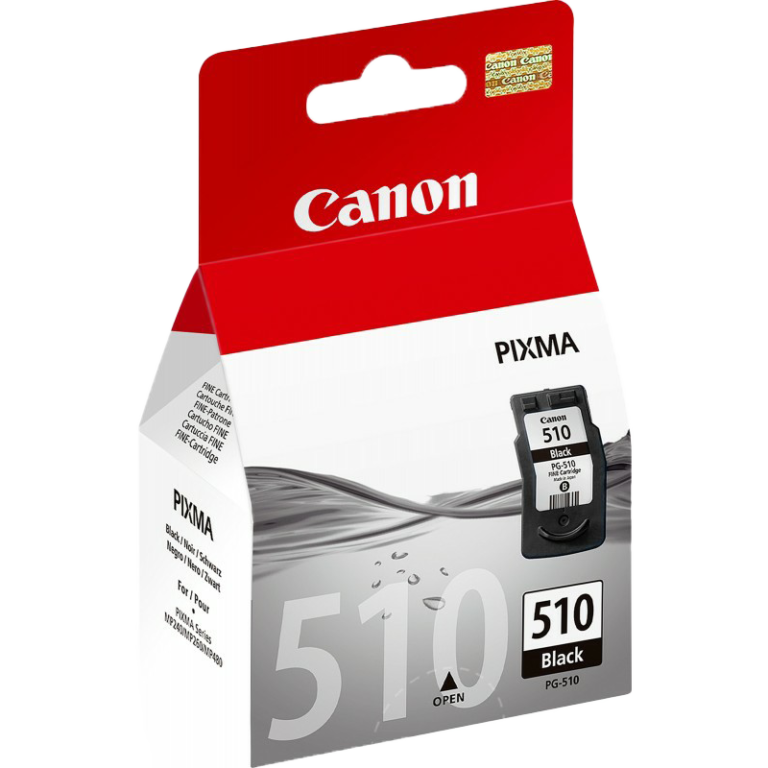 cartouche encre Canon PG-510 noir originale 2970B007AA
